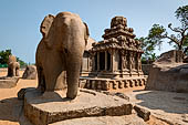 Mamallapuram - Tamil Nadu. The five Rathas. An elephant carved from a single stone stands next to the Arjuna Ratha.